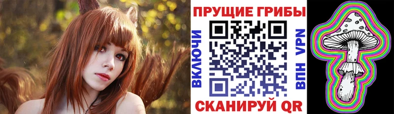 Псилоцибиновые грибы Psilocybine cubensis  мориарти состав  Шагонар  купить наркоту 